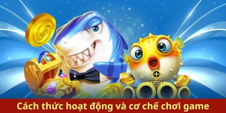 Cách Chơi Bắn Cá Royal Fishing Tại VVVWin Để Trở Thành Ngư Thủ Đỉnh Cao